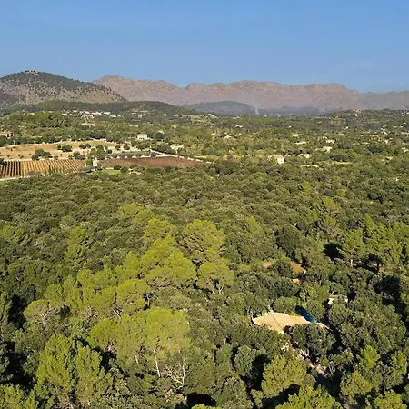 Holiday home Quiet And Wooded Area Of The Mallorcan Countryside By Renthousing Pollenca